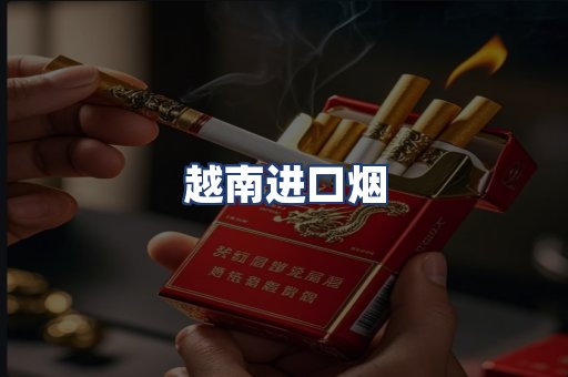 越南进口烟